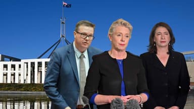 Three Nationals Senators resign from Shadow Cabinet