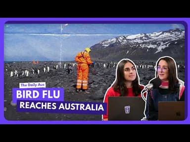 Bird flu strain reaches Australia: Should you care?