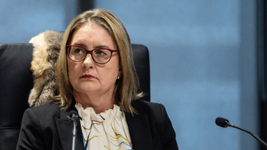 Victoria’s pill testing plan revealed