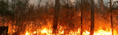 We’re not on track to limit climate change: IPCC report