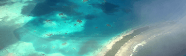 “Islands like this one won’t survive… so we’ll recreate them virtually.”: Tuvalu has announced it plans to fully recreate itself online in case it’s submerged by rising sea levels