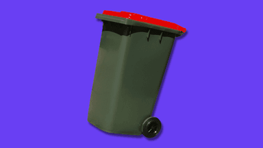Jess Wilson promises weekly bin collection for Victorians