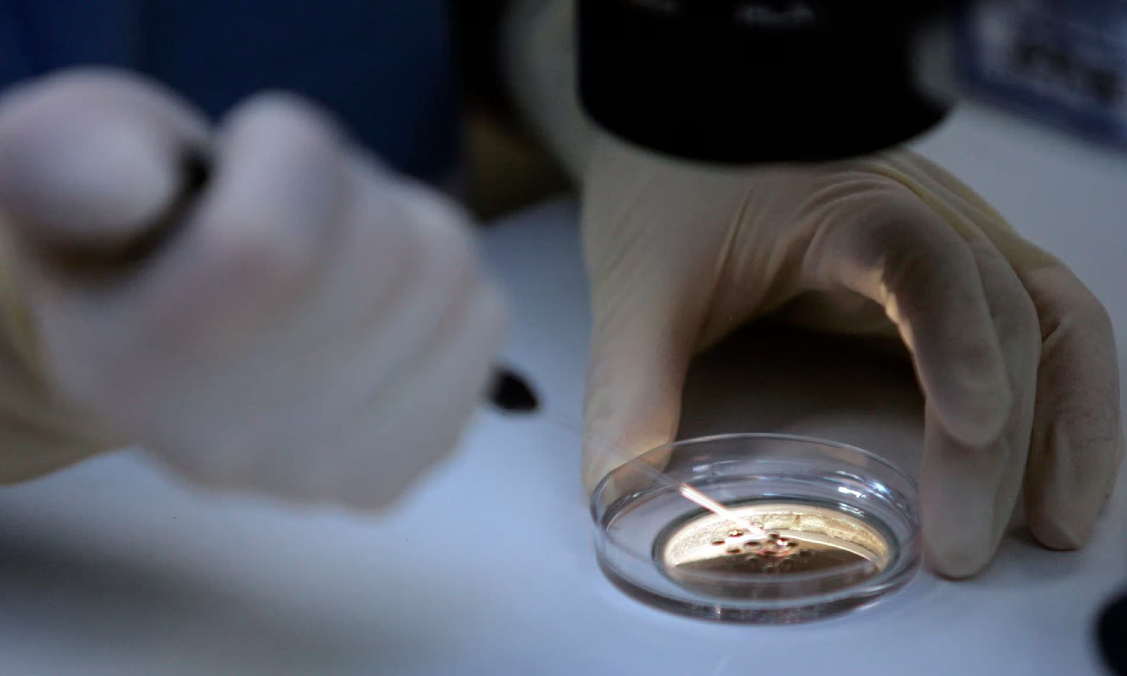 Woman births stranger’s baby after wrong embryo transfer
