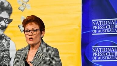 What are One Nation's policies? Pauline Hanson's speech explained