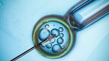 Review of fertility sector calls for urgent reforms, outlines roadmap
