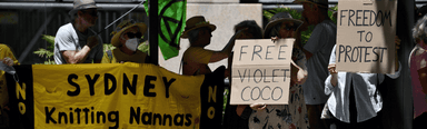 A climate change protester who blocked the Harbour Bridge in April has been sentenced to at least 8 months in prison