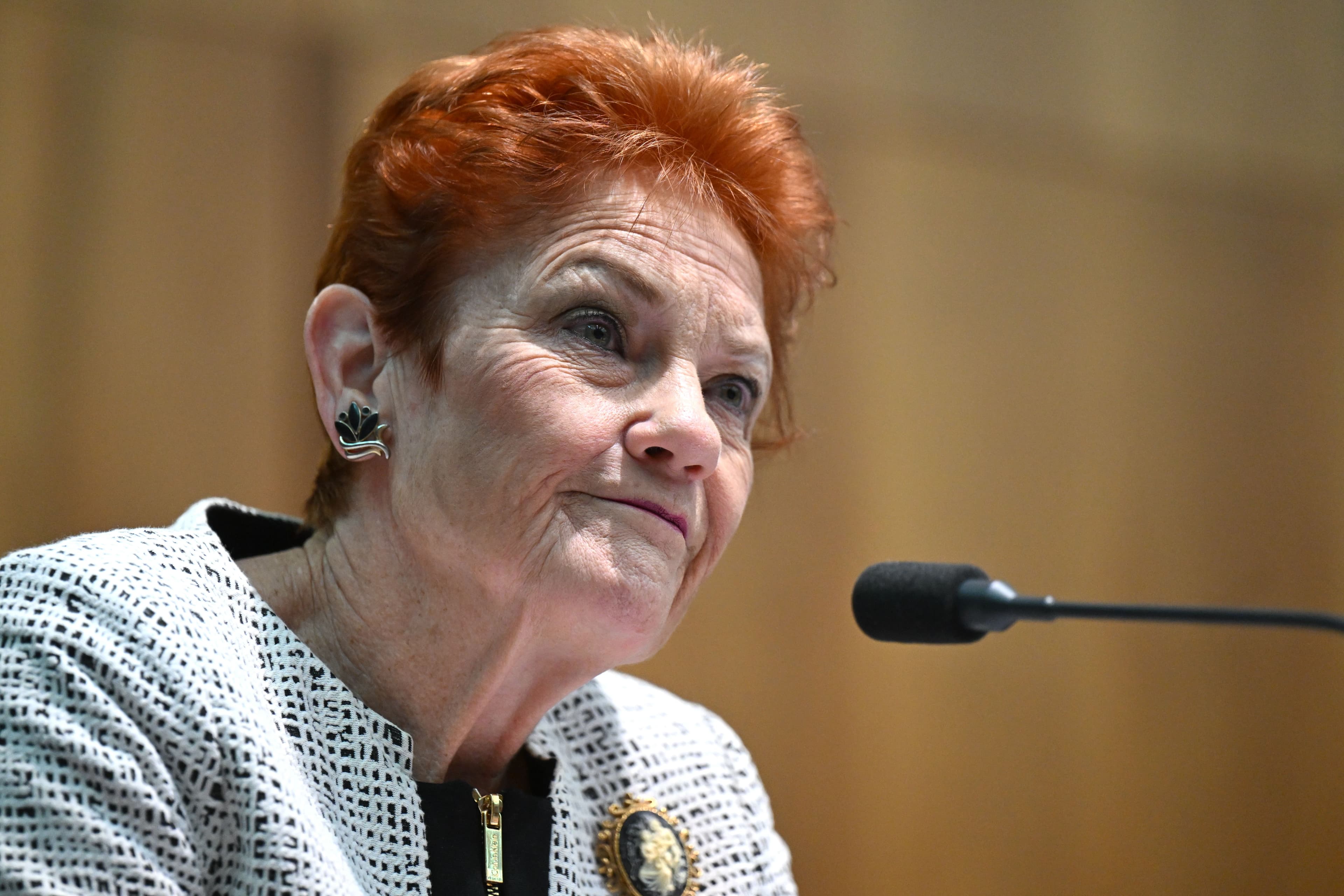 One Nation has raised $2 million in donations this week