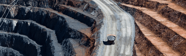 The Adani Group has lost billions after allegations of fraud