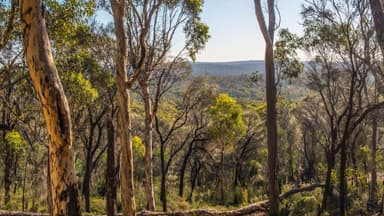 Govt vows to overhaul national environment law before 2026