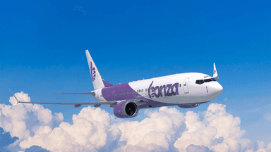 Low-cost airline Bonza has gone into voluntary administration