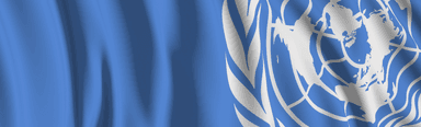 The UN’s torture investigation body has cancelled its Australian visit due to “obstacles”