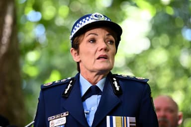 NSW Police laid 1,100 charges in a DV crackdown this weekend