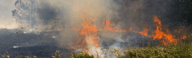 Invisible mental health crisis after natural disasters: Over 80% affected since 2019