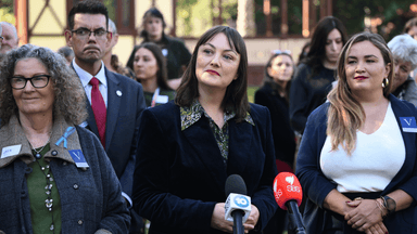 Push for a Victorian cannabis plebiscite: how likely is it?