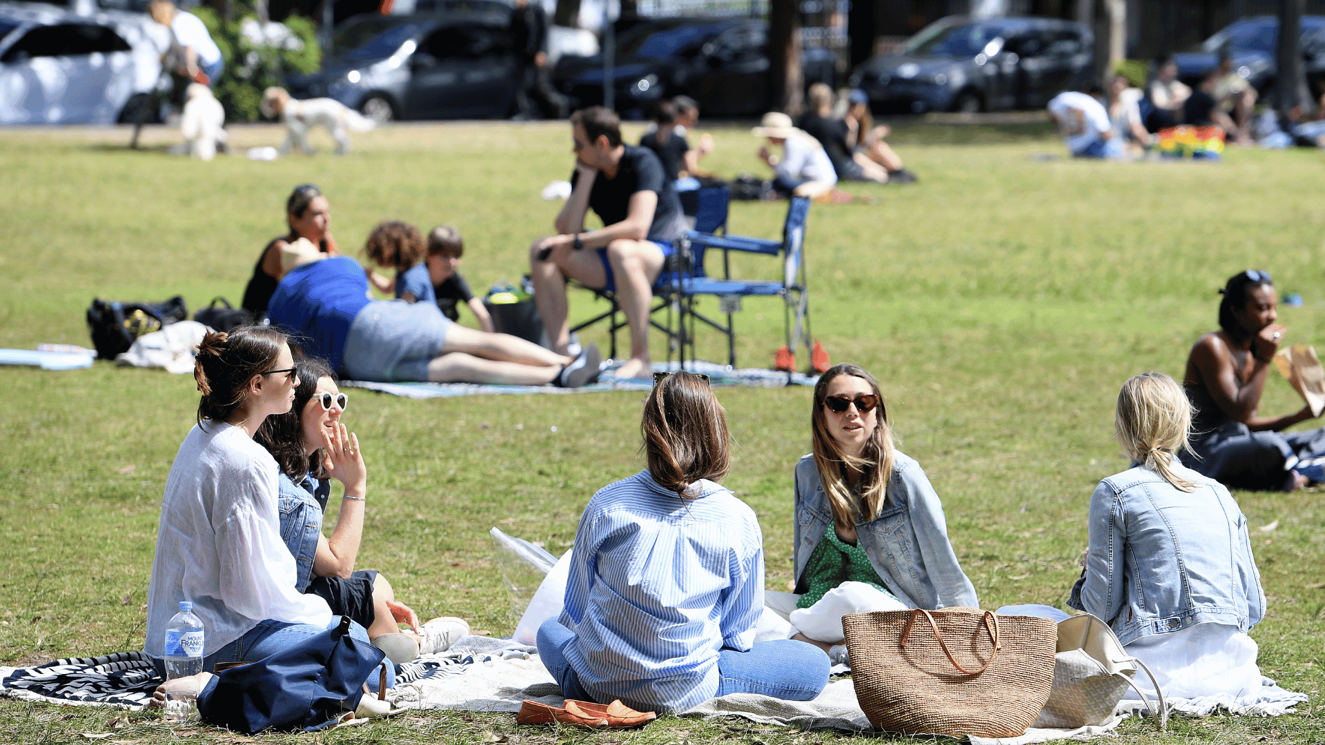 Social cohesion at lowest point on record in Australia