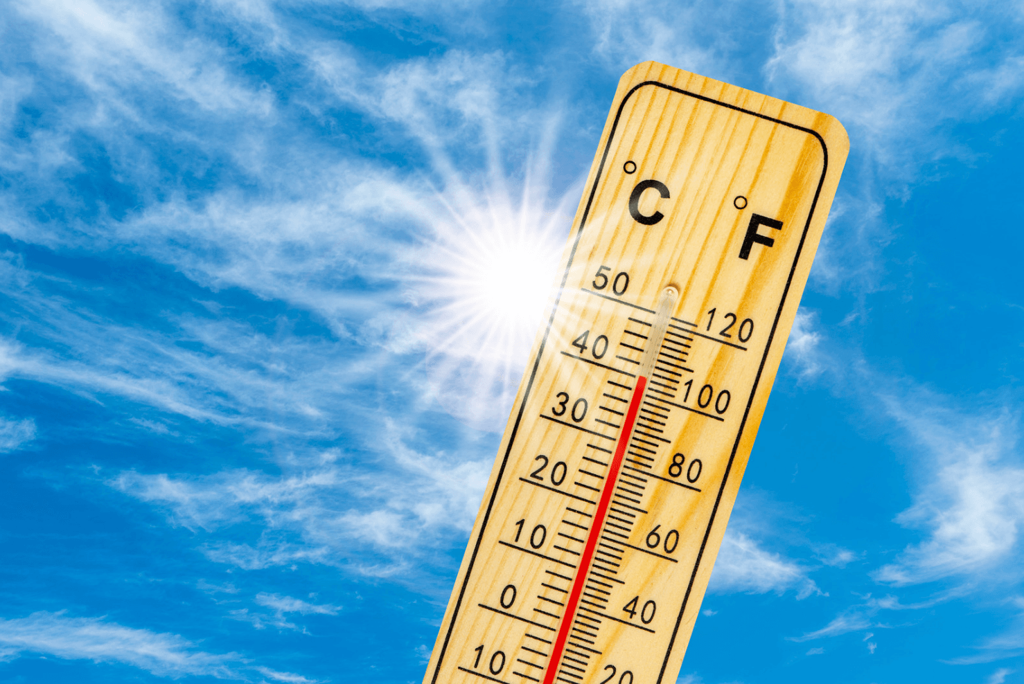 Extreme heatwave across Europe kills 18 people in France