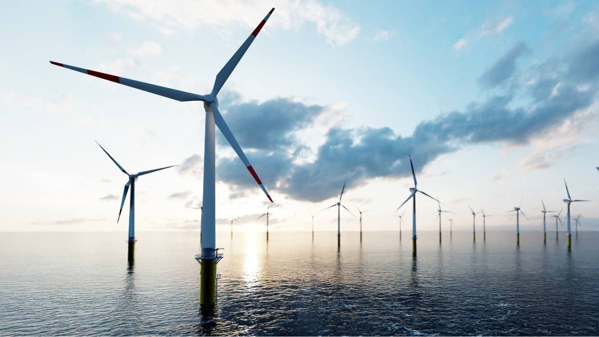 A Senate inquiry will probe online climate disinformation