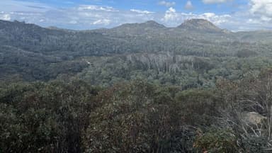 Police believe locals are helping Dezi Freeman evade capture