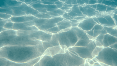 Global sea surface temperature hits new record high
