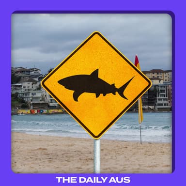 Can we prevent shark attacks?