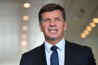 Angus Taylor will run in a Liberal leadership spill