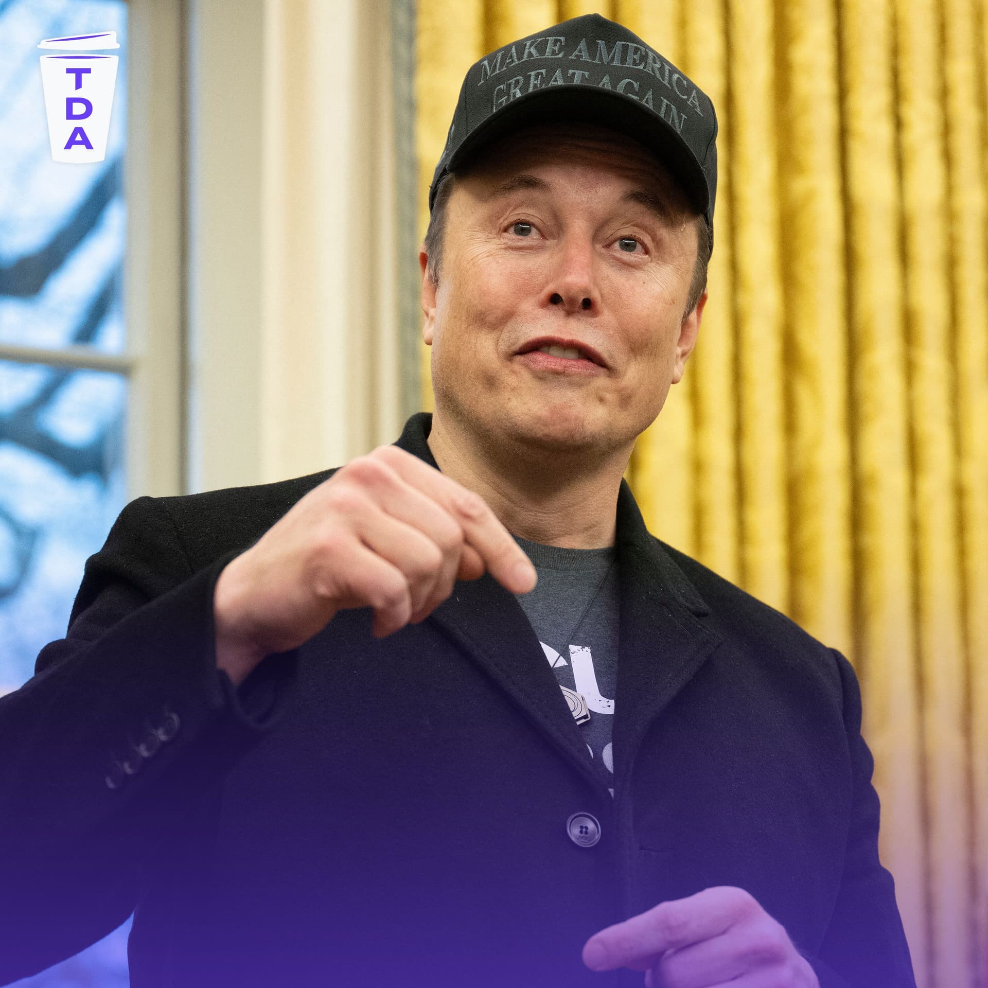 Elon Musk's role in the White House, explained