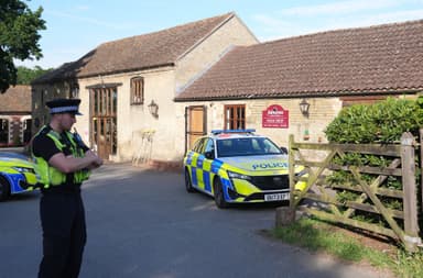Three-year-old hurt in UK crocodile enclosure, man arrested