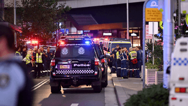 Coronial inquest into Bondi Junction stabbing begins