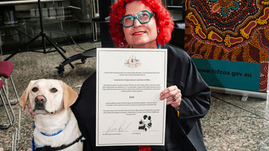 The Queensland courts have their first support dog