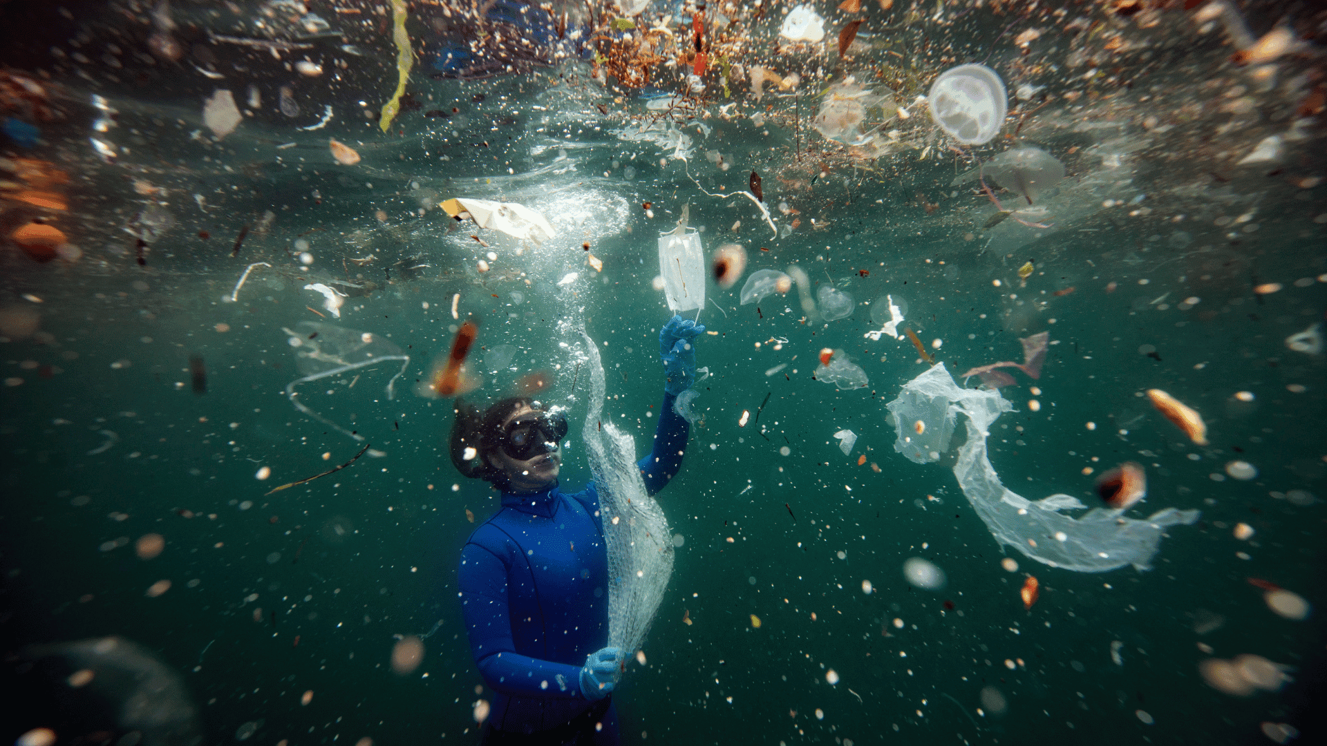 Up to 11 million tonnes of plastic on the ocean floor, say researchers
