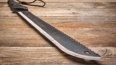 Victoria will introduce a temporary ban on machete sales