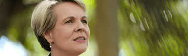 Environment Minister Tanya Plibersek has rejected a coal mine proposed by Clive Palmer