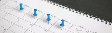 Some Friday good news: a senate committee has recommended a four-day work week trial