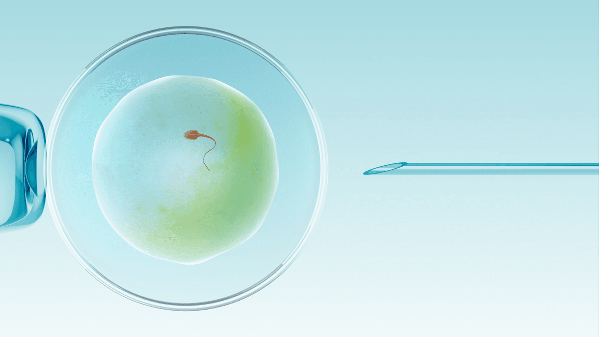 Monash IVF has reported its second embryo mix-up this year