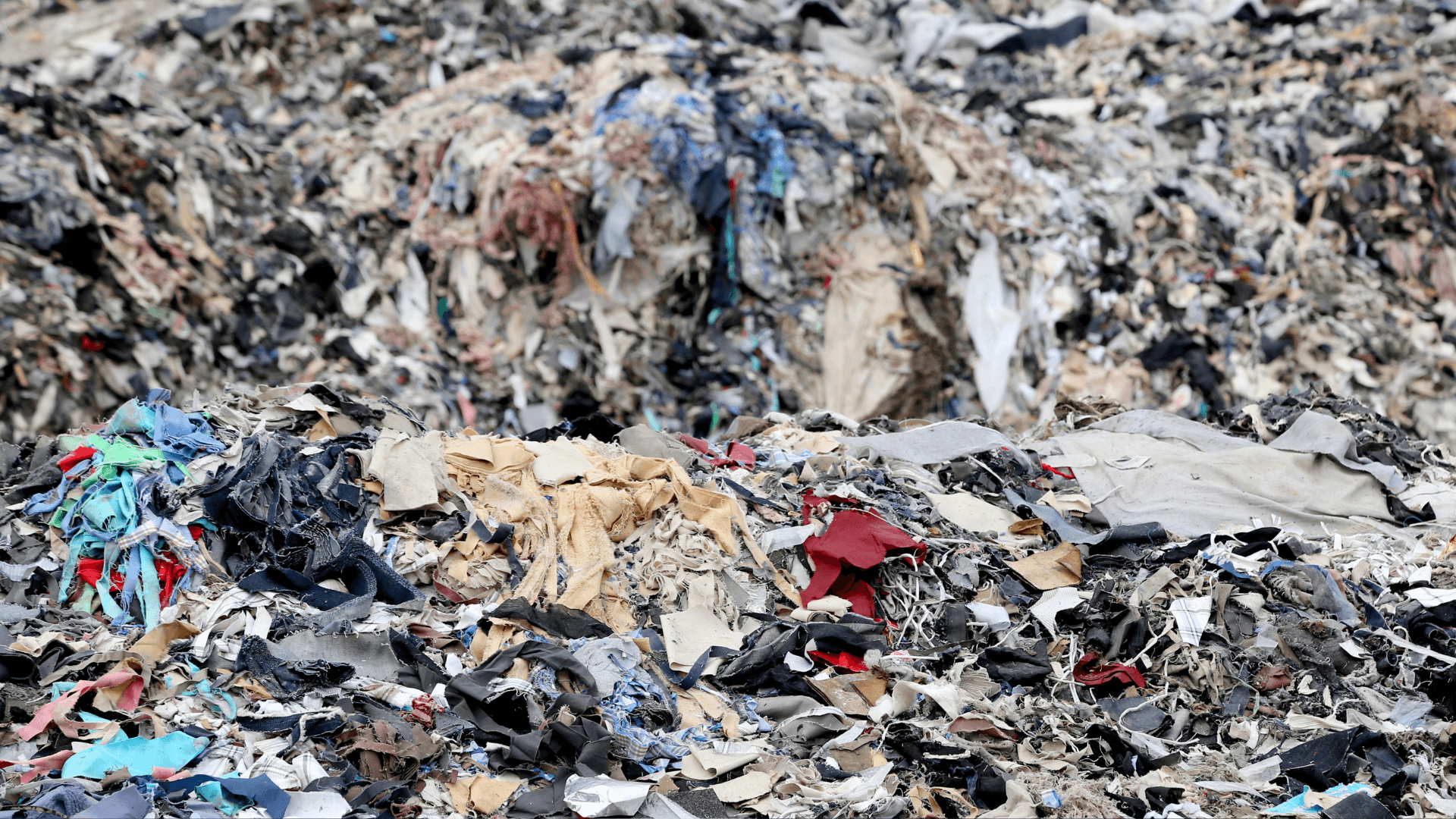 France proposes fast fashion penalty and advertising ban