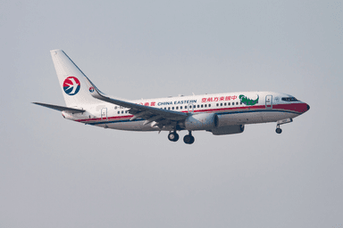 A plane carrying 132 passengers has crashed in southern China