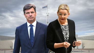 Angus Taylor or Sussan Ley will lead the Liberal Party