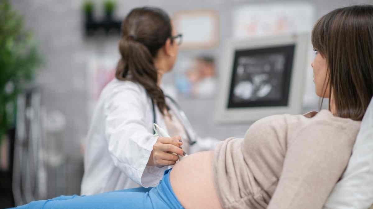 Bill introduced in South Australia to ban abortions after 28 weeks