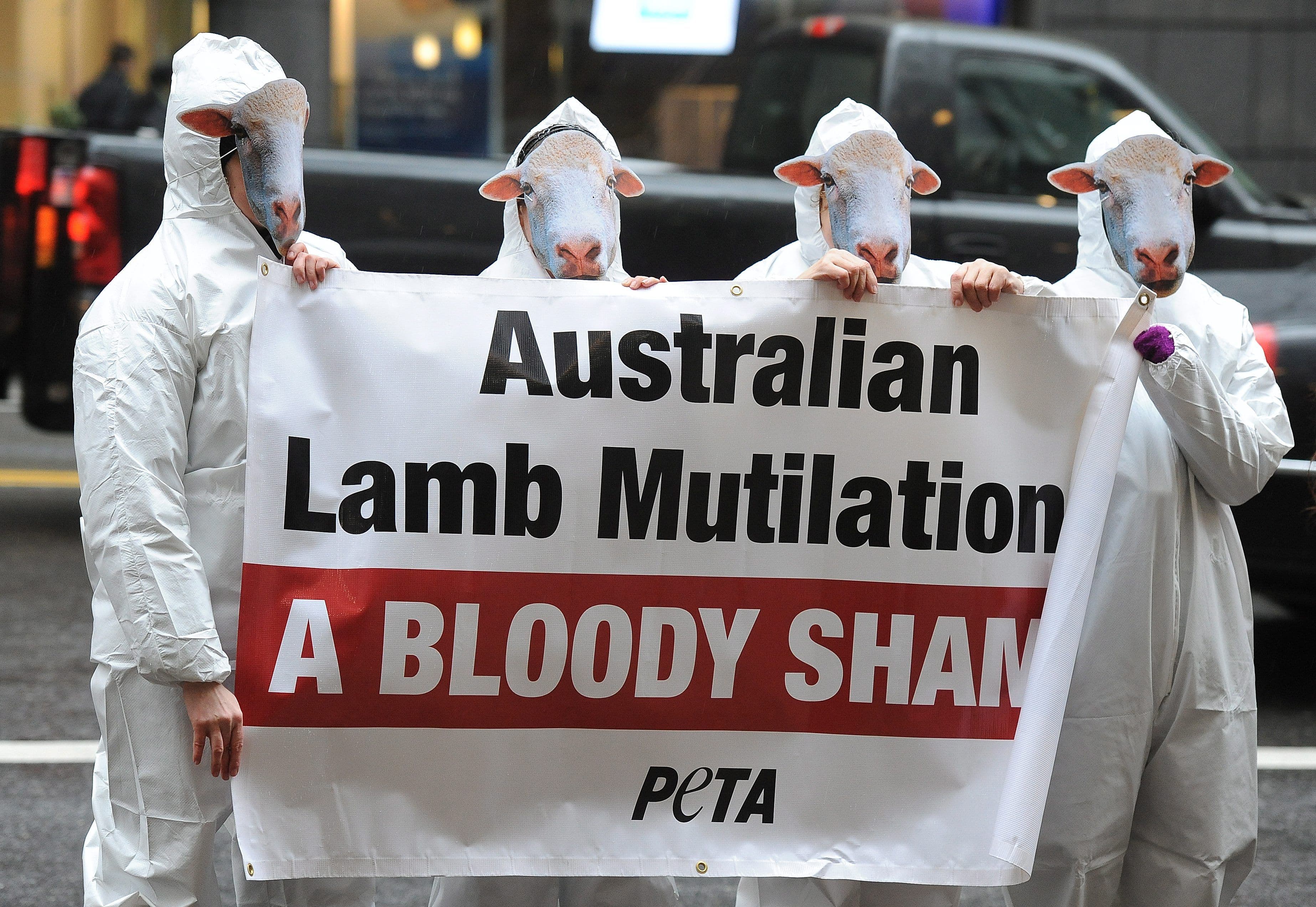 Fashion brands boycotting Australian wool over ‘mulesing’