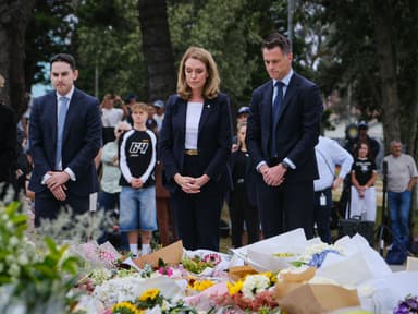 Post Bondi terror attack: what are Australia’s gun laws?