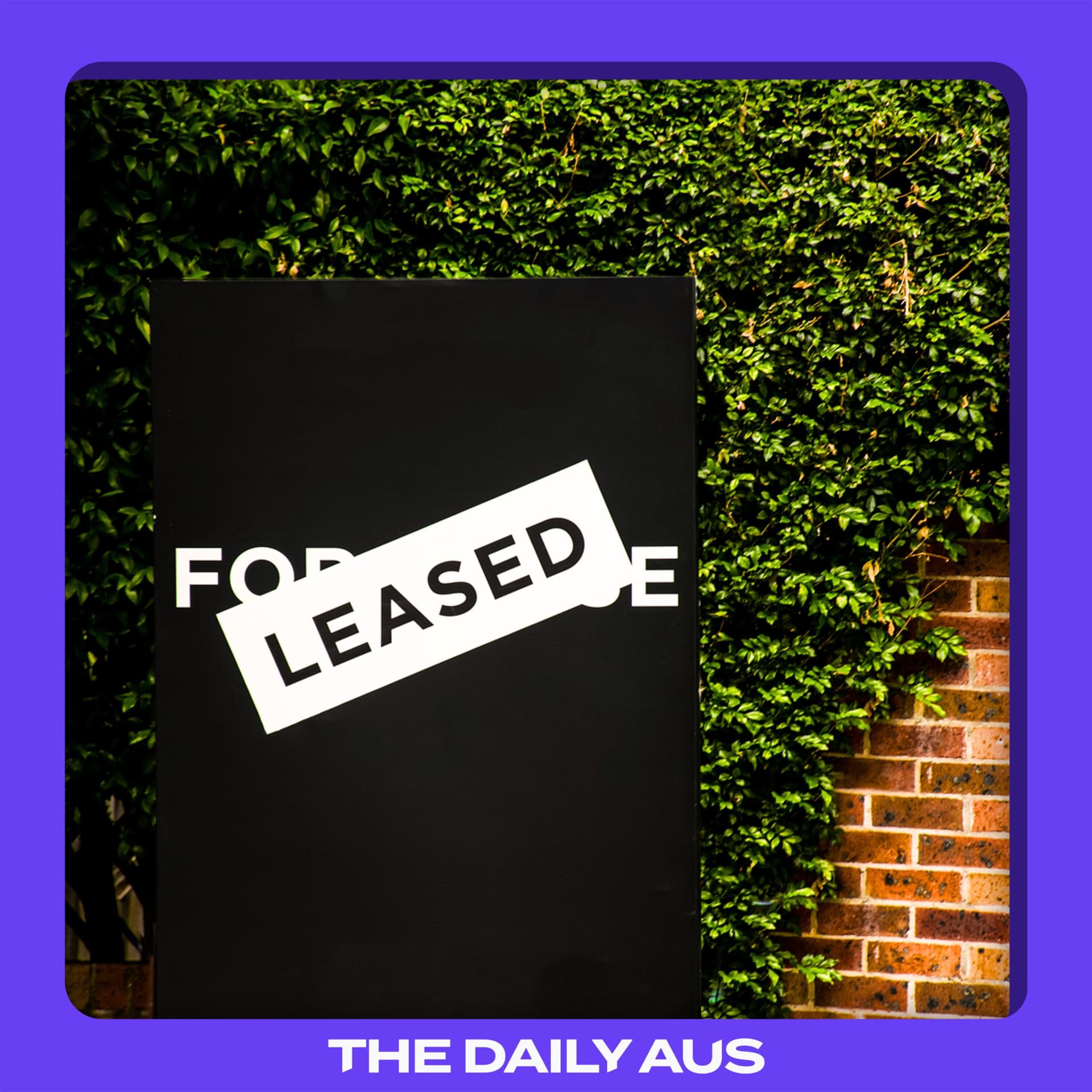 The state of the rental market