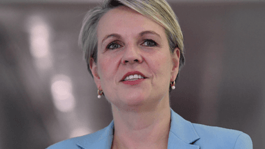 Plibersek wages war on millions of feral goats
