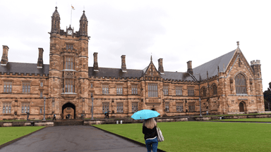 Crackdown on foreign student system begins