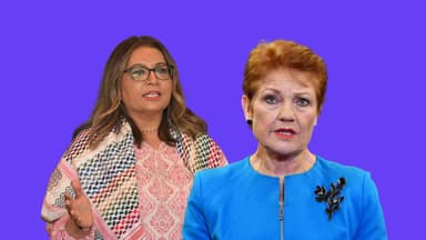 Pauline Hanson racially abused Mehreen Faruqi, Fed Court finds