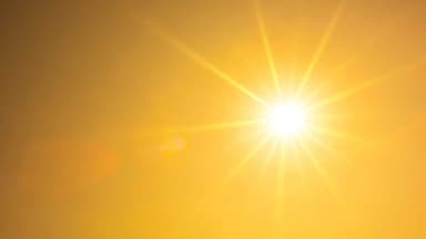 2024 was the hottest year on record worldwide