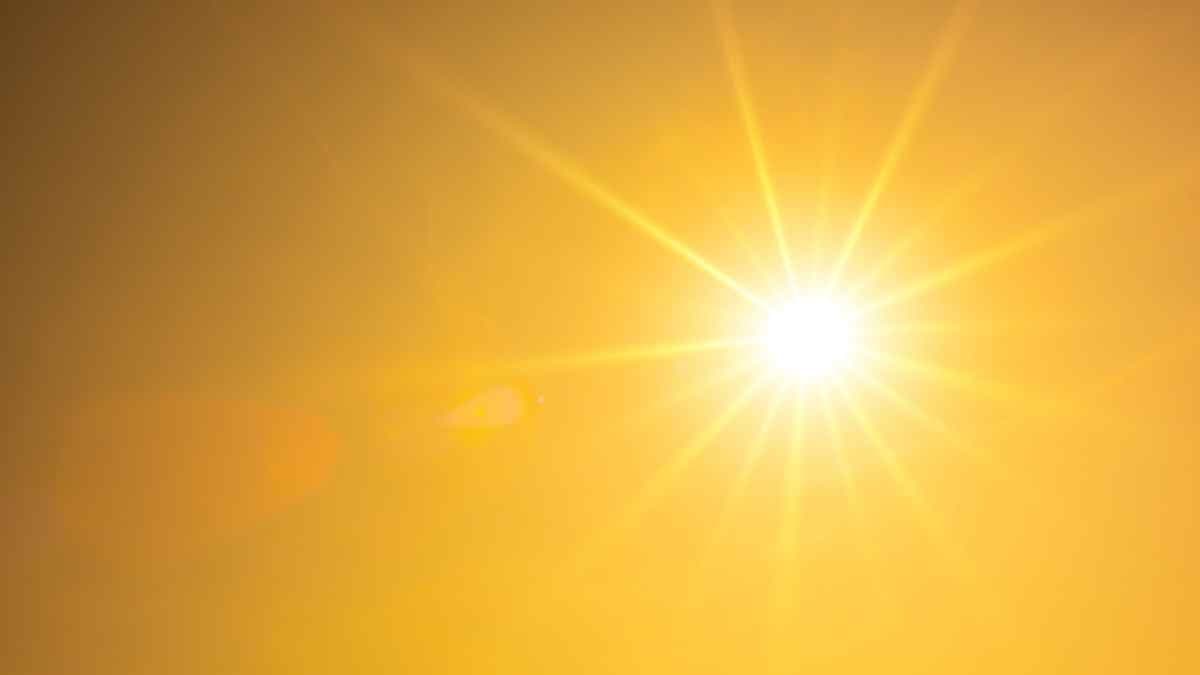 2024 was the hottest year on record worldwide