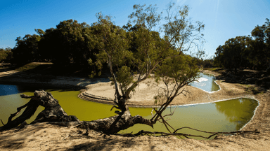 What’s going on with the Murray-Darling Basin?
