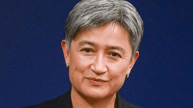 Wong used special powers to block Myanmar team visas