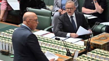 Albanese criticised for NATO absence