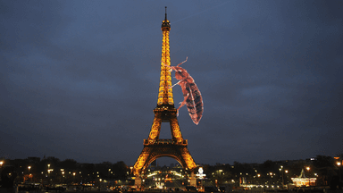 France’s government is holding crisis talks over a bedbug infestation